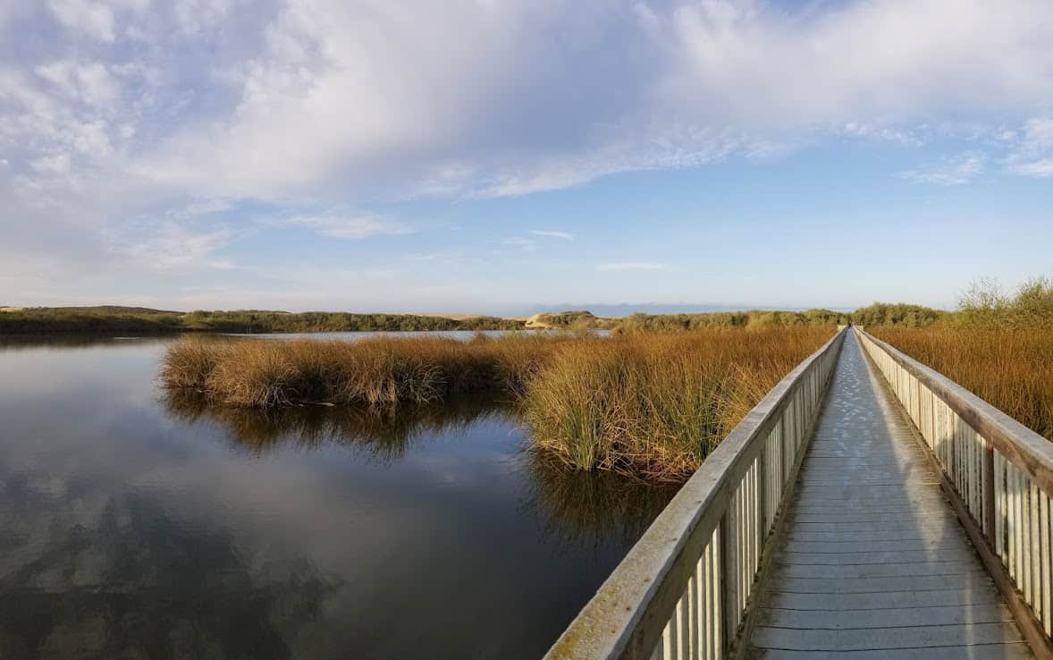 commercial plumbing in oxford al,
